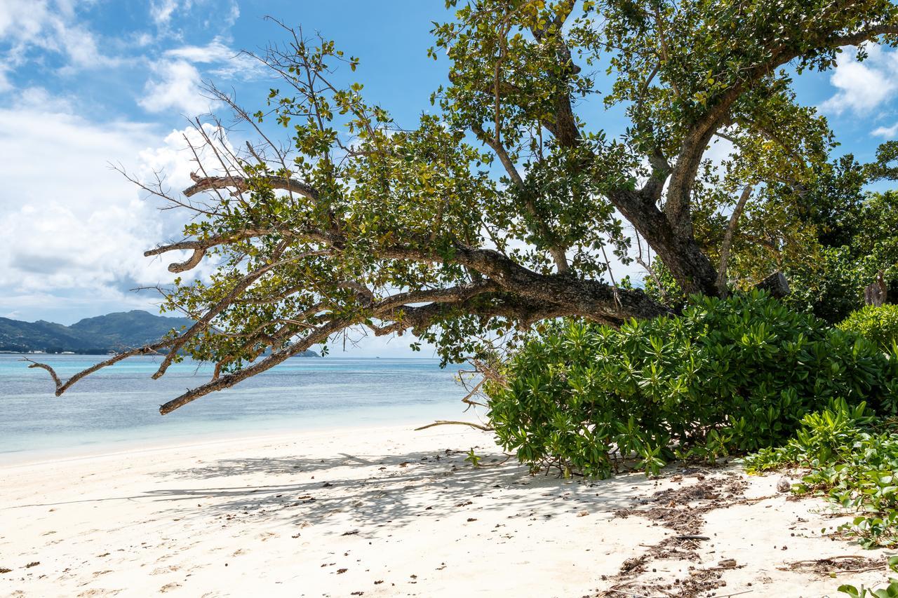 Surf Tropical Villa Seascape Cerf Island Bagian luar foto